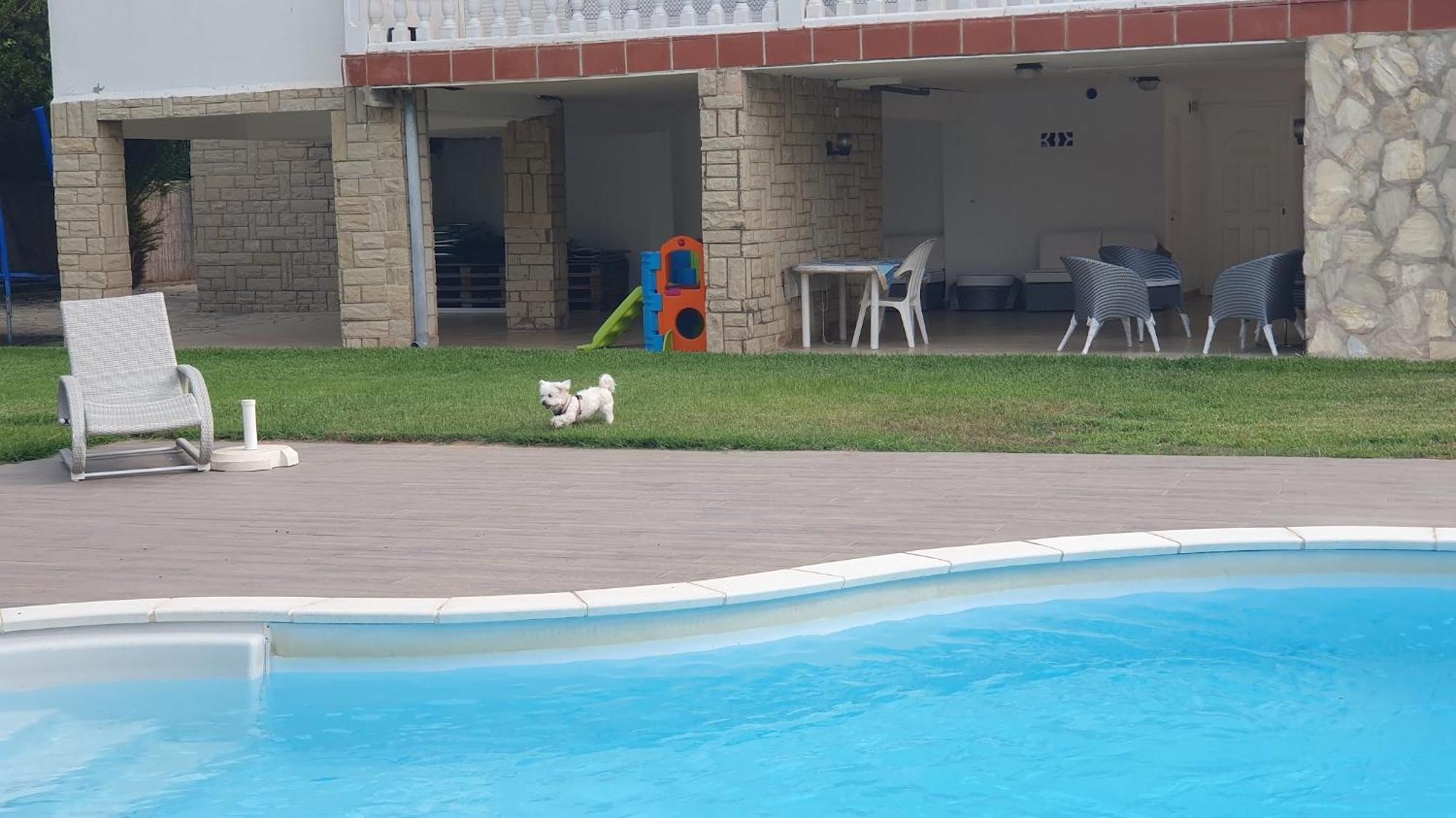 Villa Privada La Pedrereta サロウ エクステリア 写真